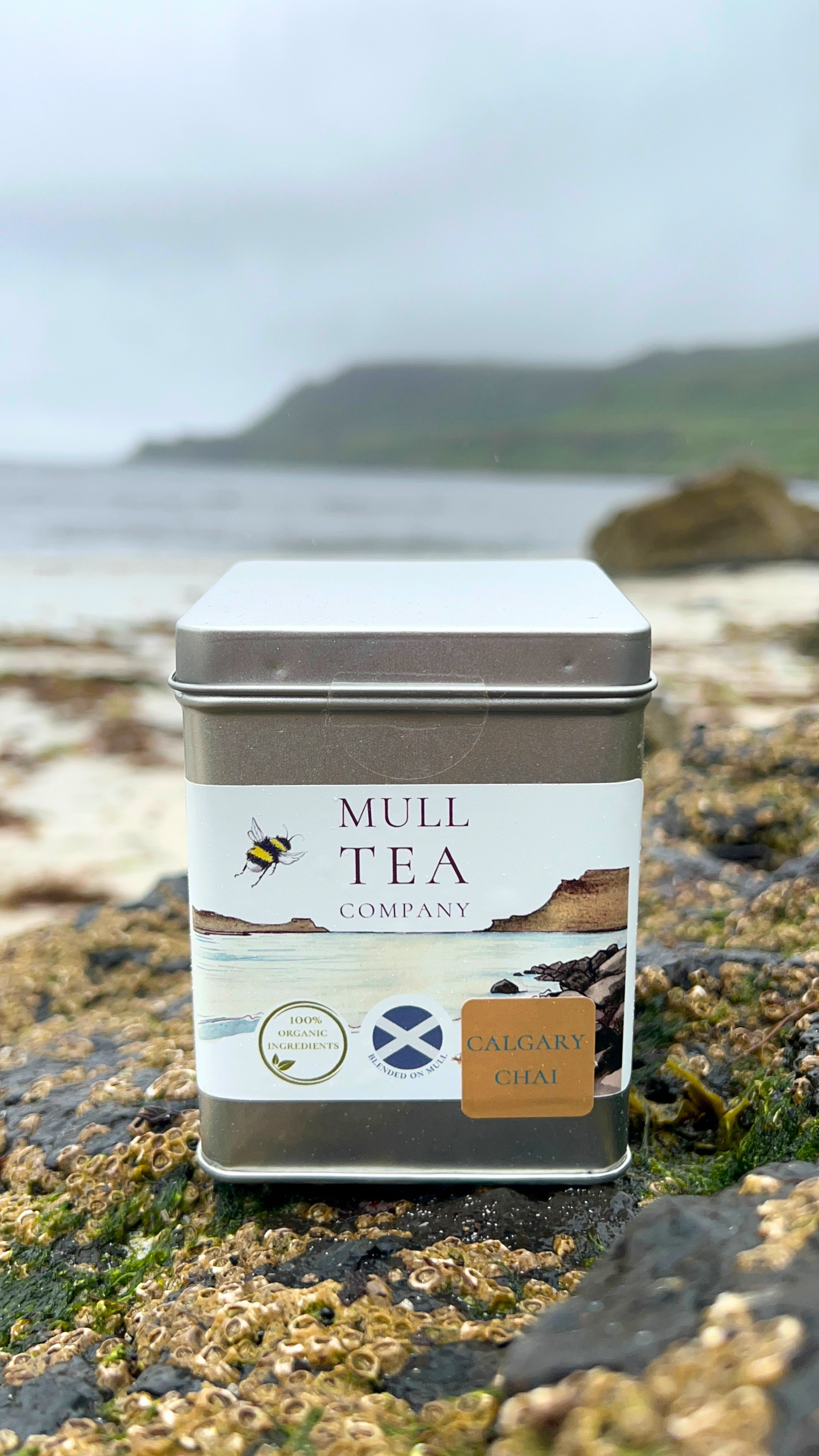 Calgary Chai - Organic comforting winter tea