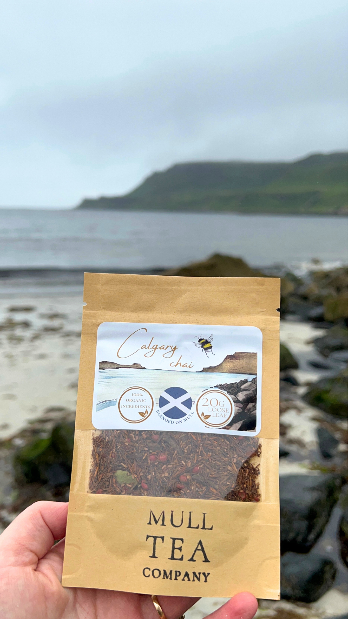 Calgary Chai - Organic comforting winter tea