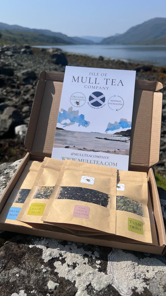 Letterbox organic tea sample set