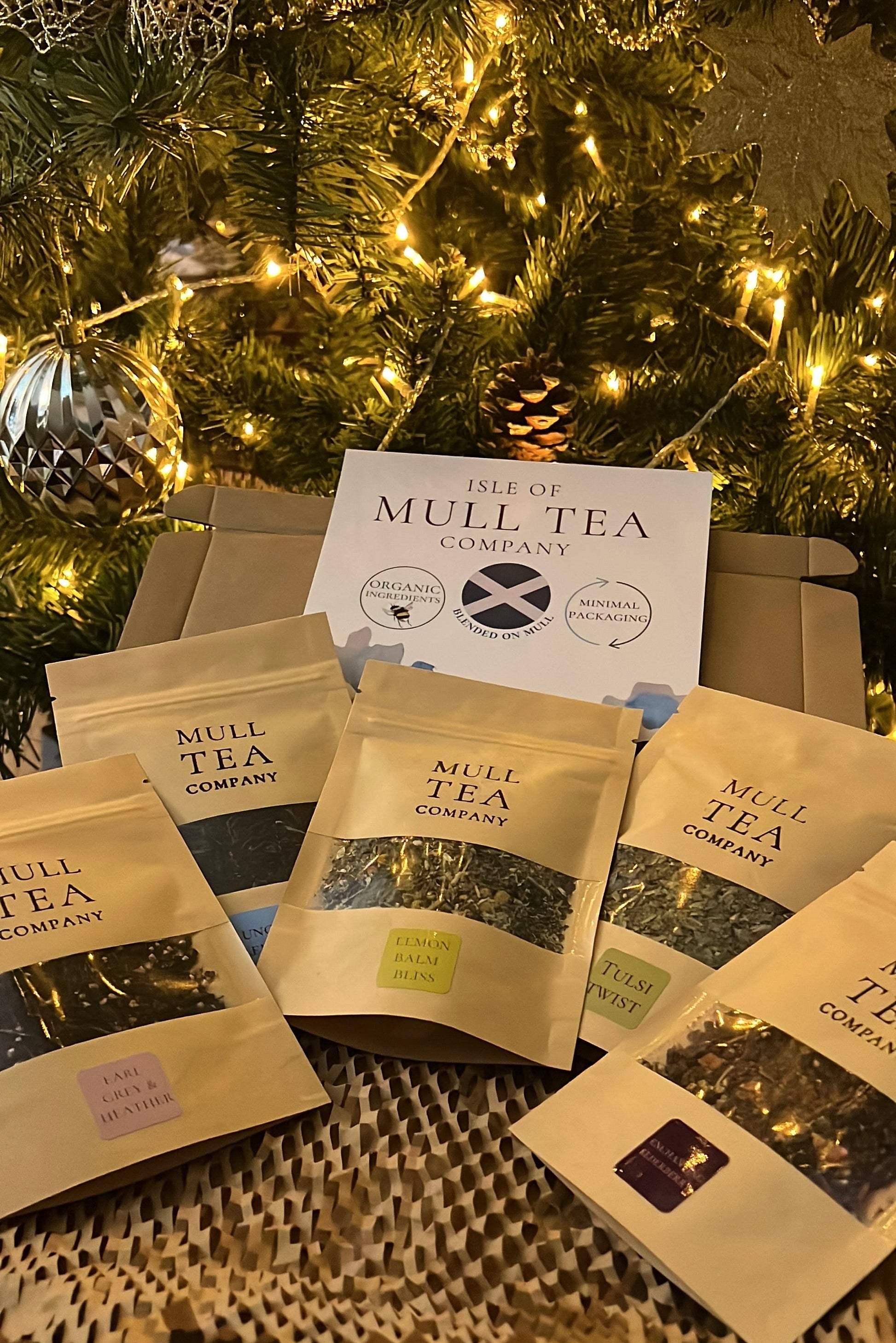 Selection of Organic Tea in front of Christmas Tree